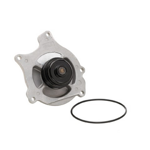 Dayco Engine Water Pump  DP1310