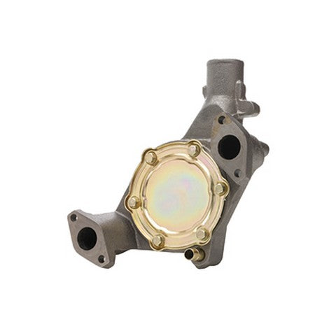 Dayco Engine Water Pump  DP1334