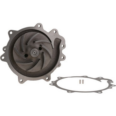 Dayco Engine Water Pump  DP1381