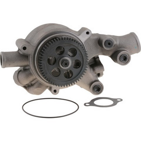 Dayco Engine Water Pump  DP1427