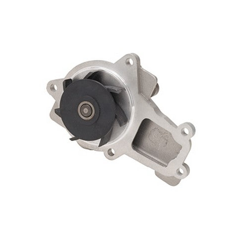 Dayco Engine Water Pump  DP1440