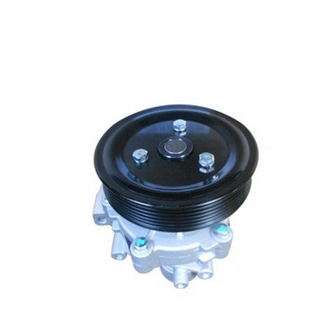 Dayco Engine Water Pump  DP1831B