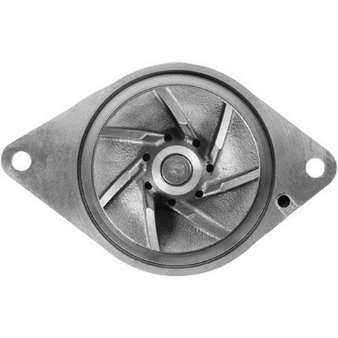 Dayco Engine Water Pump  DP1909