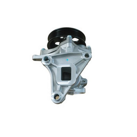 Dayco Engine Water Pump  DP1912B