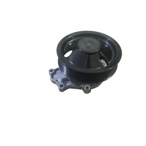Dayco Engine Water Pump  DP1964