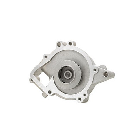 Dayco Engine Water Pump  DP208