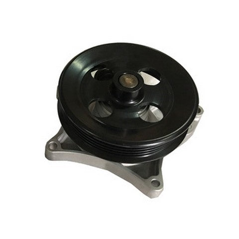 Dayco Engine Water Pump  DP2255