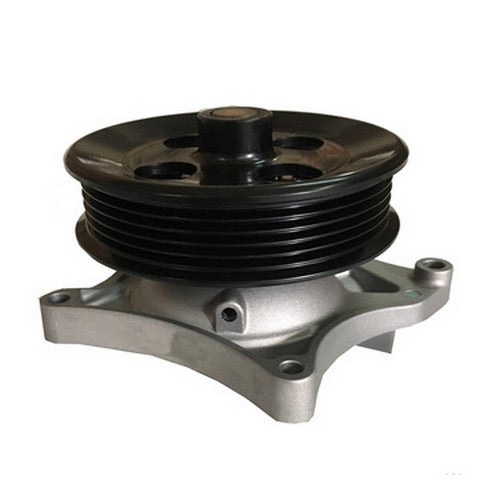 Dayco Engine Water Pump  DP2255