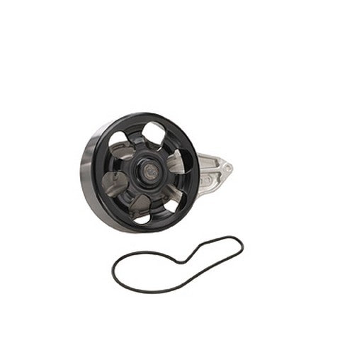 Dayco Engine Water Pump  DP413