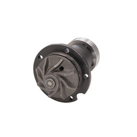 Dayco Engine Water Pump  DP421