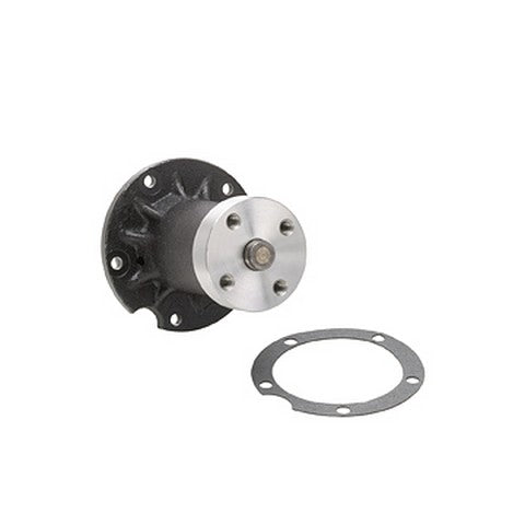 Dayco Engine Water Pump  DP421