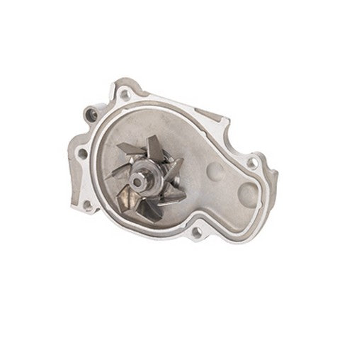 Dayco Engine Water Pump  DP556