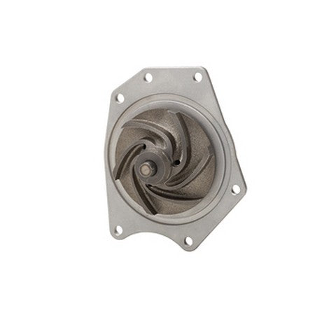 Dayco Engine Water Pump  DP595