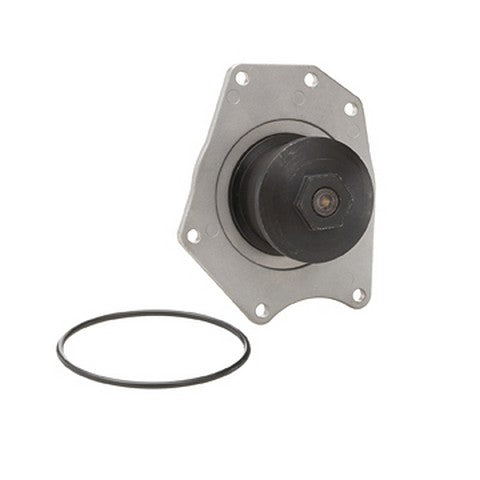 Dayco Engine Water Pump  DP595
