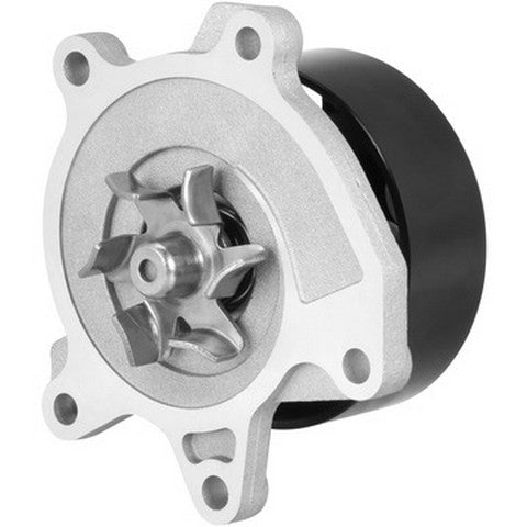Dayco Engine Water Pump  DP769