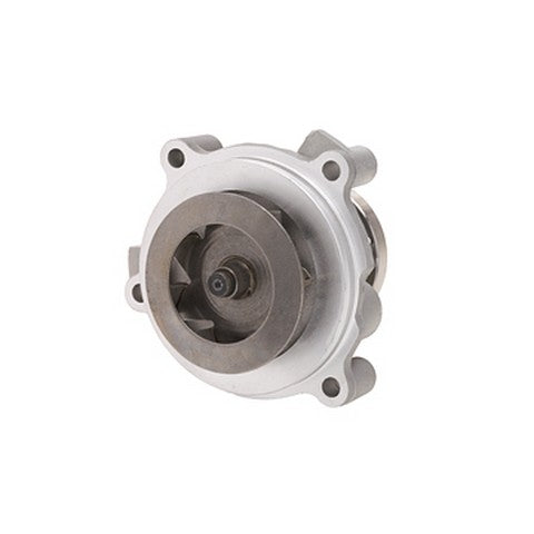 Dayco Engine Water Pump  DP803