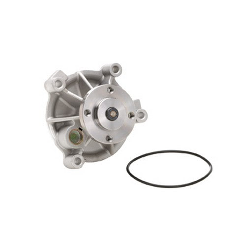 Dayco Engine Water Pump  DP803
