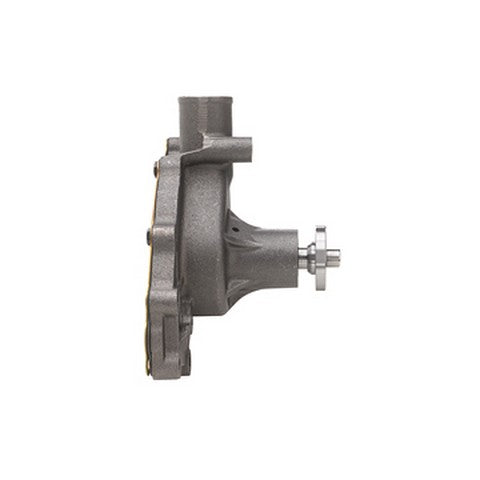 Dayco Engine Water Pump  DP810