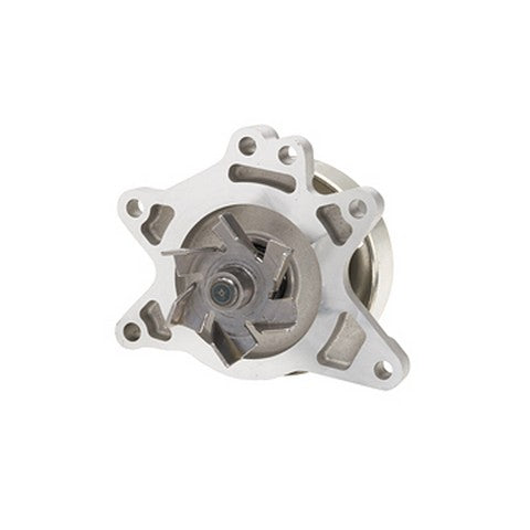Dayco Engine Water Pump  DP813