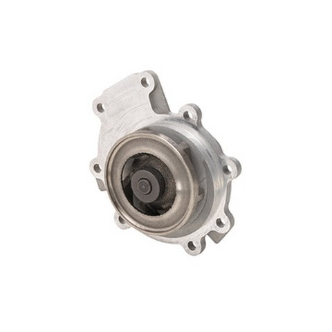 Dayco Engine Water Pump  DP817