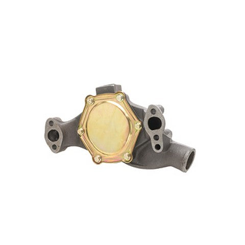 Dayco Engine Water Pump  DP819