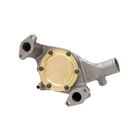 Dayco Engine Water Pump  DP822