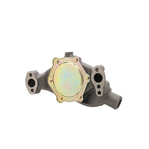 Dayco Engine Water Pump  DP829