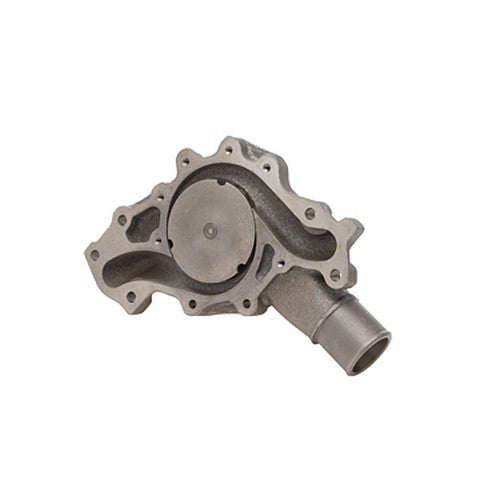 Dayco Engine Water Pump  DP842