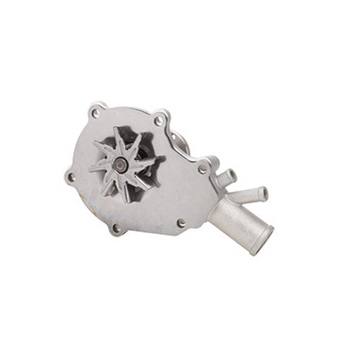 Dayco Engine Water Pump  DP861
