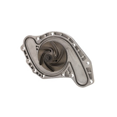Dayco Engine Water Pump  DP906