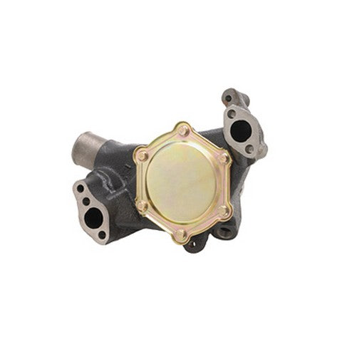 Dayco Engine Water Pump  DP9631