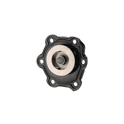 Dayco Engine Water Pump  DP975