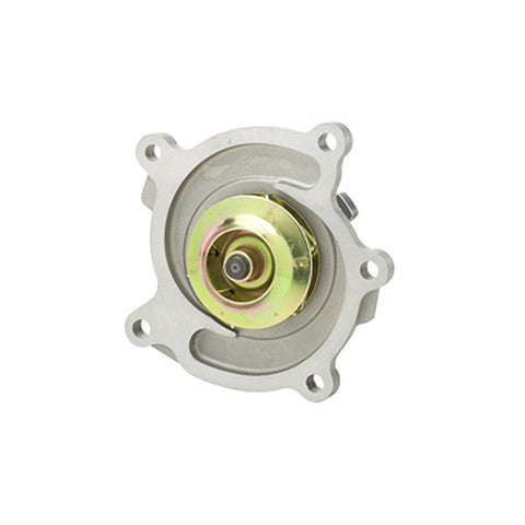 Dayco Engine Water Pump  DP981