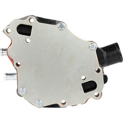Dayco Engine Water Pump  DP991H