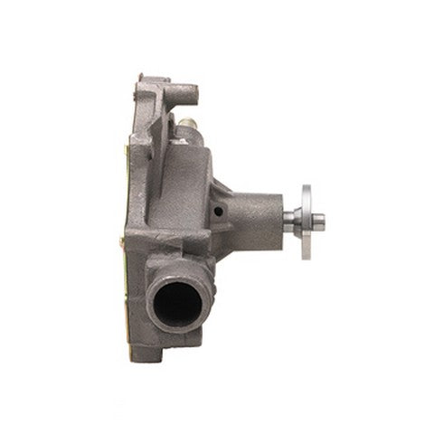 Dayco Engine Water Pump  DP991