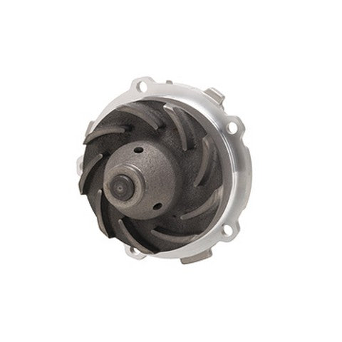 Dayco Engine Water Pump  DP994