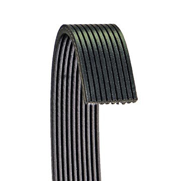 Dayco Serpentine Belt  6100672