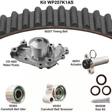 Dayco Engine Timing Belt Kit with Water Pump  WP257K1AS