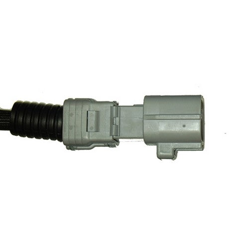 Delphi Oxygen Sensor  ES20213