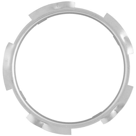 Delphi Fuel Tank Lock Ring  FA10008