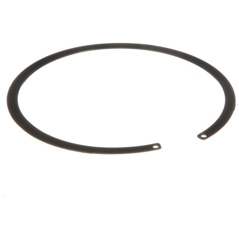Delphi Fuel Tank Lock Ring  FA10022