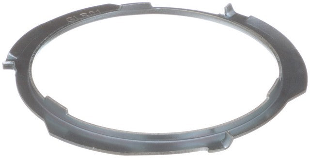 Delphi Fuel Tank Lock Ring  FA10028