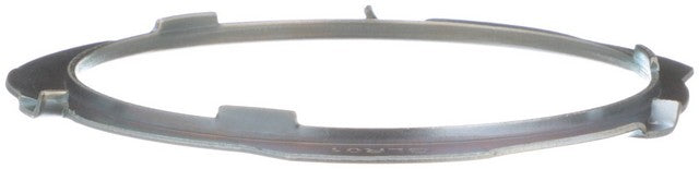Delphi Fuel Tank Lock Ring  FA10028