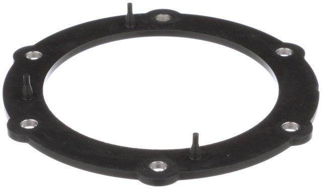 Delphi Fuel Pump Tank Seal  FA10030