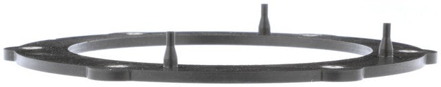 Delphi Fuel Pump Tank Seal  FA10030