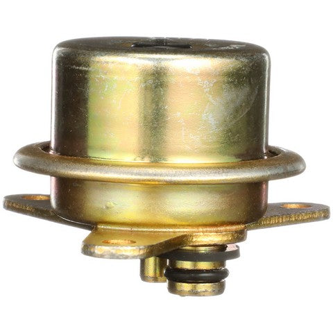 Delphi Fuel Injection Pressure Regulator  FP10391