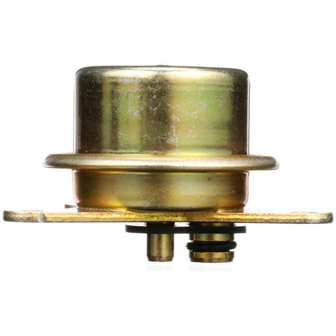 Delphi Fuel Injection Pressure Regulator  FP10391