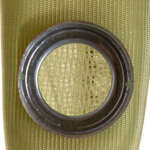 Delphi Fuel Pump Strainer  FS0022