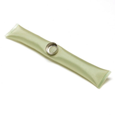 Delphi Fuel Pump Strainer  FS0029