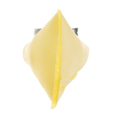 Delphi Fuel Pump Strainer  FS0031